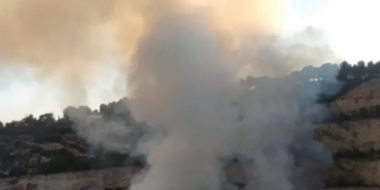 Sigue el incendio del vertedero de la #DANA en Alberich y el incendio de Catarroja calcinó anoche decenas de coches