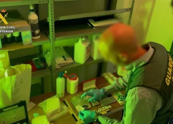 Huevos y narcotráfico: Desmantelan en Valencia una red de drogas oculta tras el reparto de alimentos