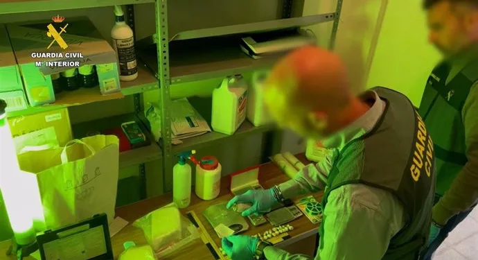 Huevos y narcotráfico: Desmantelan en Valencia una red de drogas oculta tras el reparto de alimentos 1 Huevos y narcotráfico: Desmantelan en Valencia una red de drogas oculta tras el reparto de alimentos