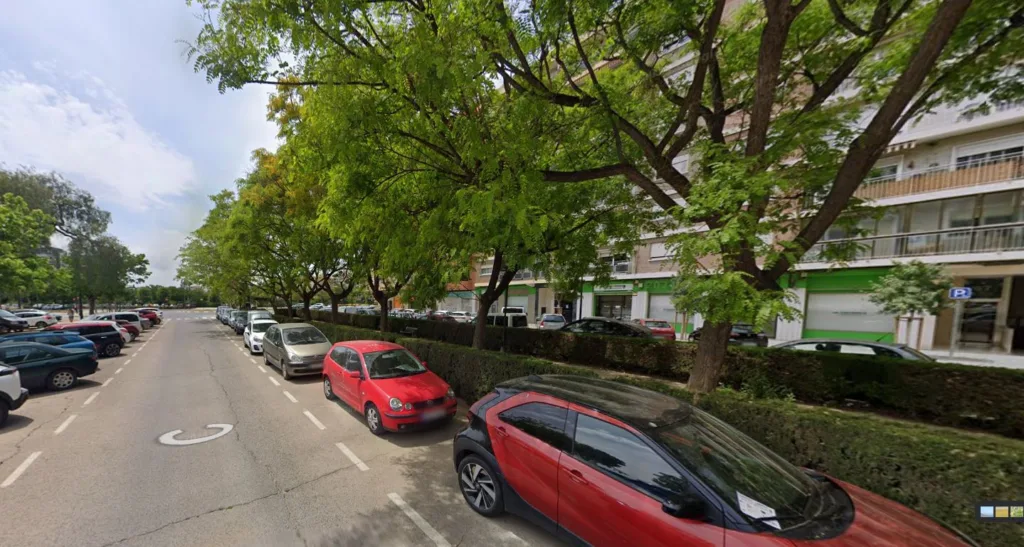 La Federación vecinal de Valencia rechaza la tala de más de 400 árboles para la ampliación del metro sin contemplar alternativa 2 illa cabrera 3