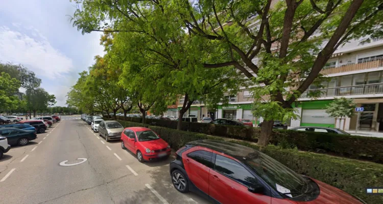 La Federación vecinal de Valencia rechaza la tala de más de 400 árboles para la ampliación del metro sin contemplar alternativa