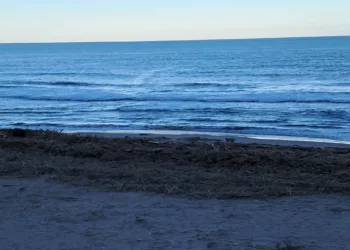 Playas de Valencia: residuos y abandono tras la DANA