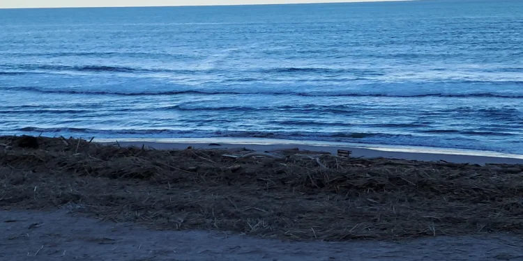 Pilar Bernabé aparece dos meses después de la #DANA con la limpieza de las playas del Sur de Cullera 1 Playas de Valencia: residuos y abandono tras la DANA