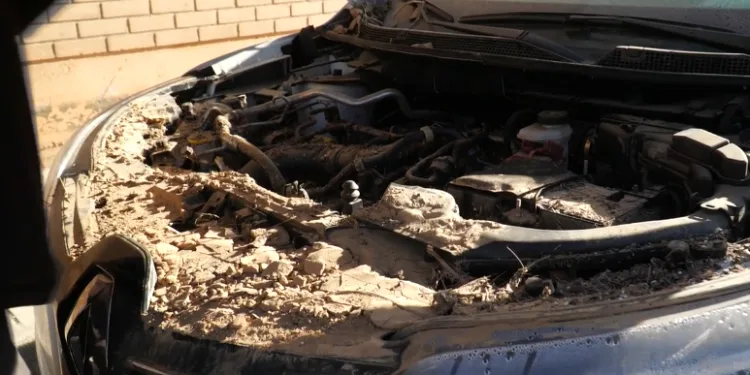 Investigación judicial sobre la gestión de la DANA en Valencia 1 Talleres mecánicos desbordados por la DANA: ¿reparar o asumir el siniestro total?