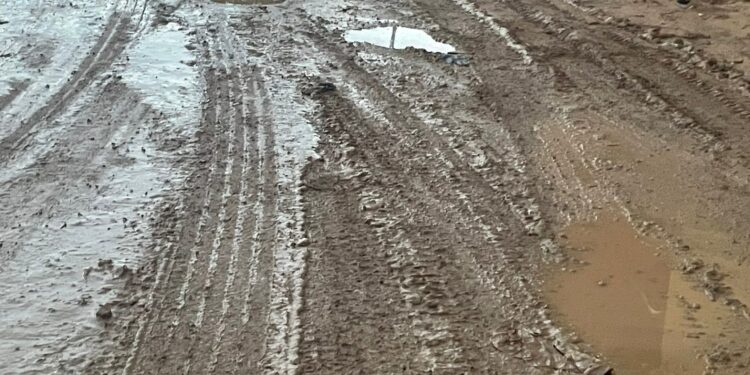 Desescalada tras la DANA en Valencia: 28 municipios siguen en Emergencia 2 1 Desescalada tras la DANA en Valencia: 28 municipios siguen en Emergencia 2