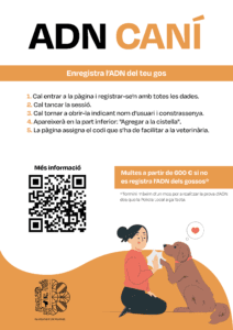 La Policía Local de Manises realiza una campaña de control del ADN canino 2 2025 01 15 Infografia ADN canino 1