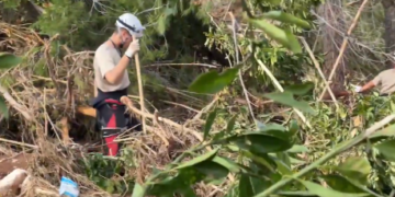 La búsqueda continúa: la Guardia Civil intensifica las labores en Pedralba para localizar a los desaparecidos de la DANA