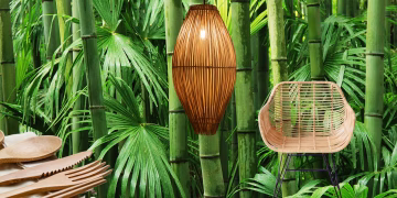 El bambú: un material resistente y sostenible que está de moda
