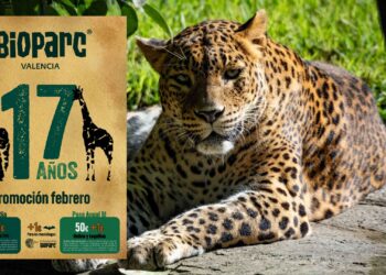 BIOPARC Valéncia celebra 17 años de conservación