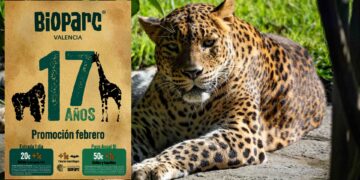BIOPARC Valéncia celebra 17 años de conservación