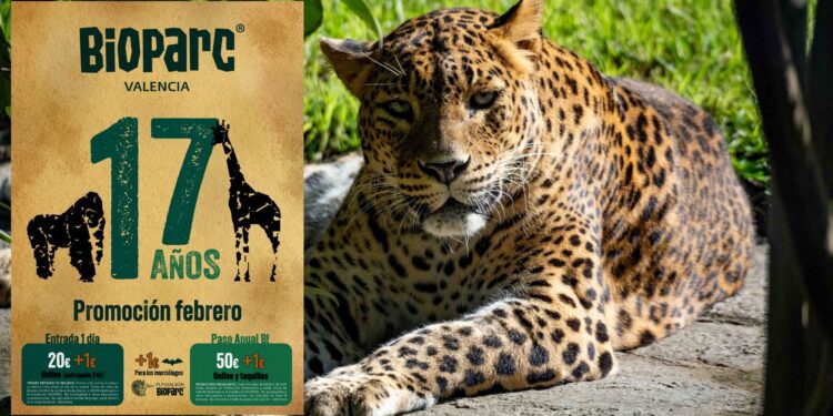 BIOPARC Valéncia celebra 17 años de conservación