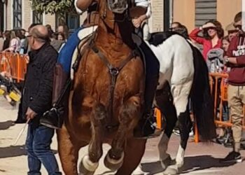 La plataforma animalista de Burjassot se reúne con el concejal de Bienestar Animal 