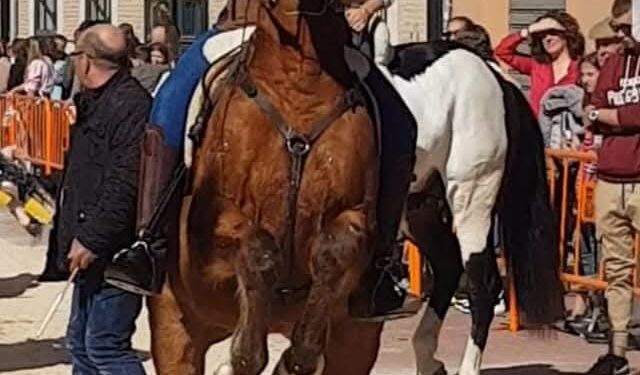 La plataforma animalista de Burjassot se reúne con el concejal de Bienestar Animal 1 La plataforma animalista de Burjassot se reúne con el concejal de Bienestar Animal