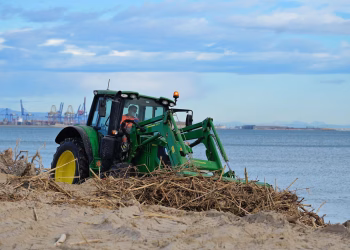 Un millón de euros ha costado la limpieza de las playas de Valencia tras la #DANA