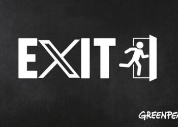 “Adiós X, pero seguimos en Facebook”: la incoherencia del activismo digital en tiempos de Musk y Zuckerberg