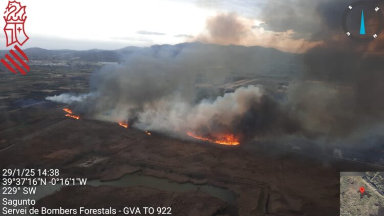 Incendio Forestal en la Marjal dels Moros entre Puzol y Sagunt y en Algueña (Alicante)