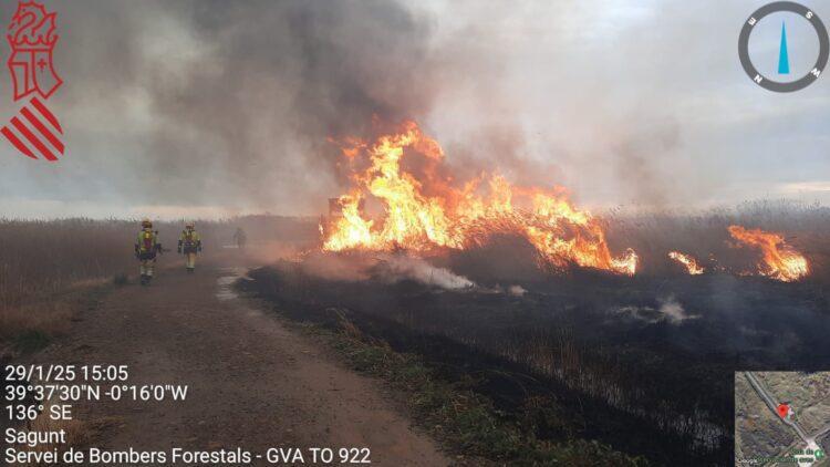 Incendio Forestal en la Marjal dels Moros entre Puzol y Sagunt y en Algueña (Alicante)