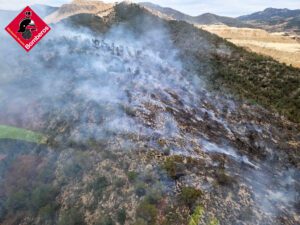Incendio Forestal en la Marjal dels Moros entre Puzol y Sagunt y en Algueña (Alicante) 4 GiegfLJbEAAj0gR