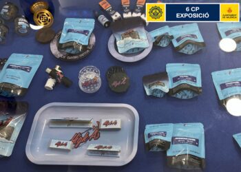 Redada en Benimaclet: la Policía Local decomisa 186 productos de CBD en un comercio