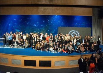 Rosebud logra el galardón de Agencia del Año en el Festival de Publicidad y Comunicación