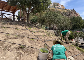 Nuevos talleres de empleo en Finestrat de Administración y Jardinería