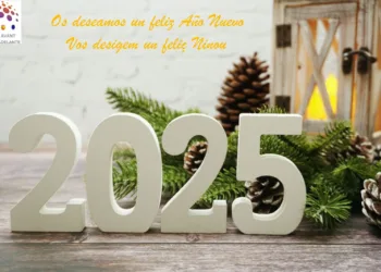 Un any per oblidar, feliç ninou 2025