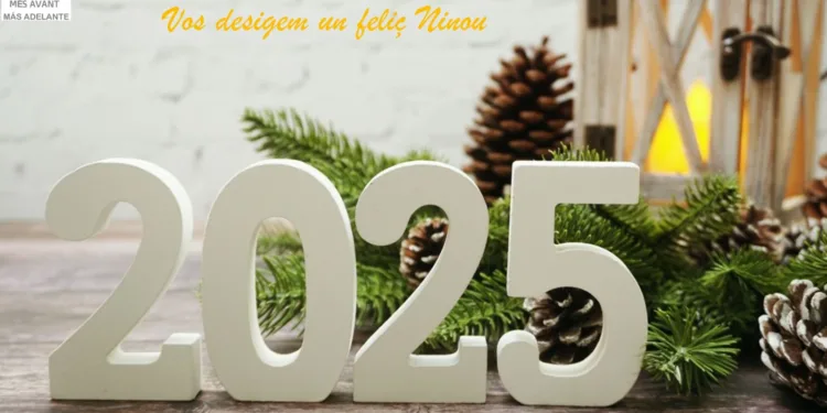 Un any per oblidar, feliç ninou 2025