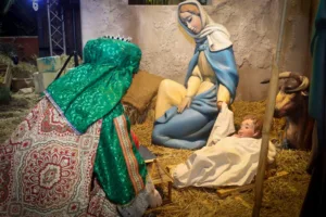 WhatsApp Image 2025 01 05 at 22.51.12