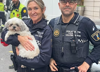 La Policía Local de Valencia rescata a perro del interior de un coche robado que llevaba 3 días sin comida ni agua