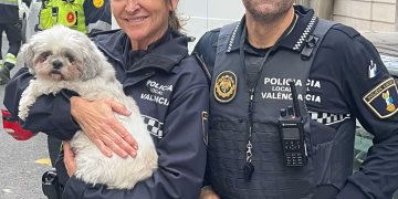 La Policía Local de Valencia rescata a perro del interior de un coche robado que llevaba 3 días sin comida ni agua