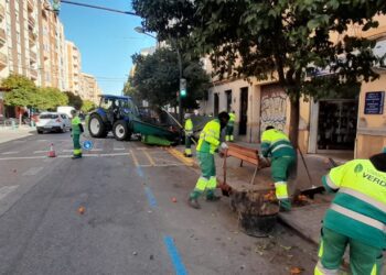 Parques y Jardines de Valencia inicia la retirada de naranjas de 8.819 árboles ornamentales