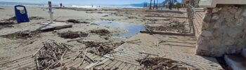 Las cañas arrastradas por la #DANA vuelven a las playas de Cullera tras la inacción del Gobierno casi 3 meses después