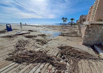 Las cañas arrastradas por la #DANA vuelven a las playas de Cullera tras la inacción del Gobierno casi 3 meses después