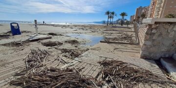 Las cañas arrastradas por la #DANA vuelven a las playas de Cullera tras la inacción del Gobierno casi 3 meses después