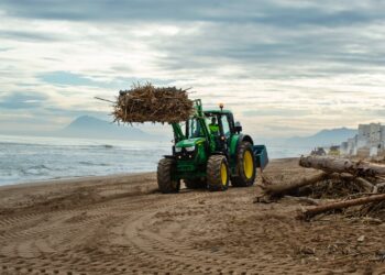 La Diputació de Valéncia pone en marcha en Daimús su dispositivo para la limpieza de playas afectadas por la #DANA