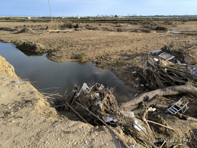 Tres meses después de la #DANA la desembocadura del Barranco del Poyo sin limpiar y taponado por toneladas de tierra