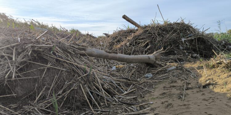 Tres meses después de la #DANA la desembocadura del Barranco del Poyo sin limpiar y taponado por toneladas de tierra 1 Tres meses después de la #DANA la desembocadura del Barranco del Poyo sin limpiar y taponado por toneladas de tierra