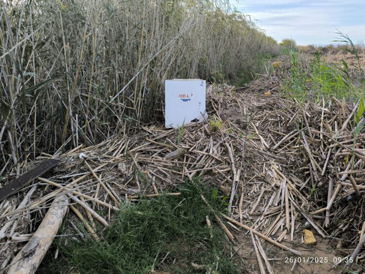 Tres meses después de la #DANA la desembocadura del Barranco del Poyo sin limpiar y taponado por toneladas de tierra