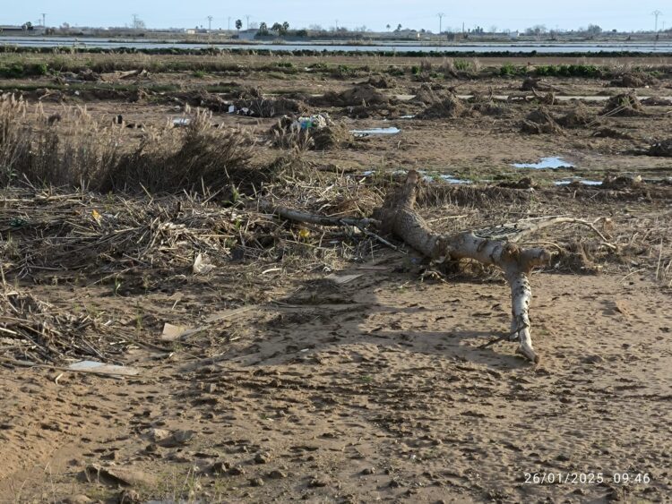 Tres meses después de la #DANA la desembocadura del Barranco del Poyo sin limpiar y taponado por toneladas de tierra