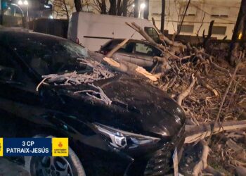 Los fuertes vientos dejan incidentes menores en Valencia