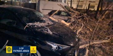 Los fuertes vientos dejan incidentes menores en Valencia