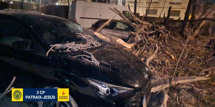 Los fuertes vientos dejan incidentes menores en Valencia 1 Los fuertes vientos dejan incidentes menores en Valencia