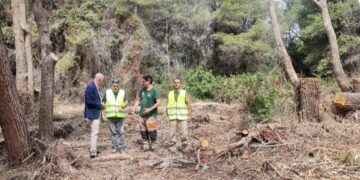 La Concejalía de Devesa-Albufera propone un plan de actuaciones para frenar incendios y proteger a los vecinos del Parque Natural