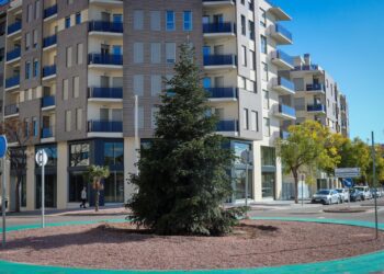 El Árbol de la Solidaridad encuentra su hogar definitivo en una rotonda de Parc Central