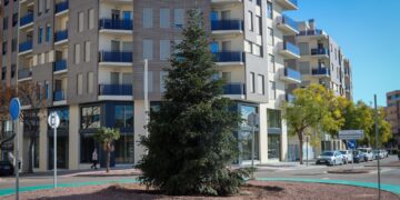 El Árbol de la Solidaridad encuentra su hogar definitivo en una rotonda de Parc Central