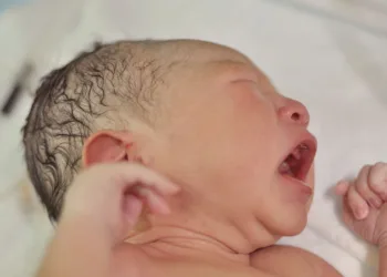 Aumentan ligeramente los nacimientos en la Comunitat