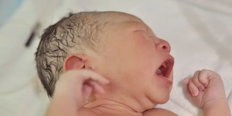 Aumentan ligeramente los nacimientos en la Comunitat