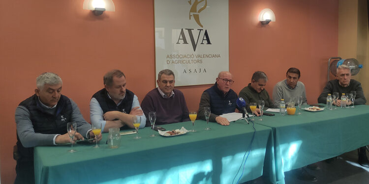AVA ASAJA califica como el peor año de la historia reciente de la agricultura valenciana el pasado 2024