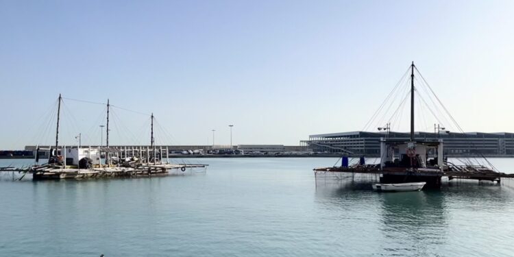 El puerto de Valencia traslada 15 de las 25 bateas de clóchinas por obras en la zona 1 El puerto de Valencia traslada 15 de las 25 bateas de clóchinas por obras en la zona