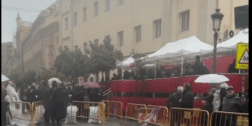 La bendición de animales en Valencia en Sant Antoni completamente deslucida por el viento y la lluvia